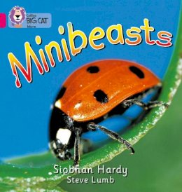 Siobhan Hardy - Minibeasts: Band 01A/Pink A (Collins Big Cat) - 9780007185375 - V9780007185375