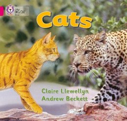 Claire Llewellyn - Cats: Band 01B/Pink B (Collins Big Cat) - 9780007185481 - V9780007185481