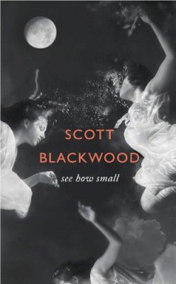 Scott Blackwood - See How Small - 9780007580934 - KTG0003583