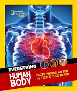 Sarah Albee - Everything: Human Body: Eye-opening facts and photos to tickle your brain! (National Geographic Kids) - 9780008541583 - 9780008541583