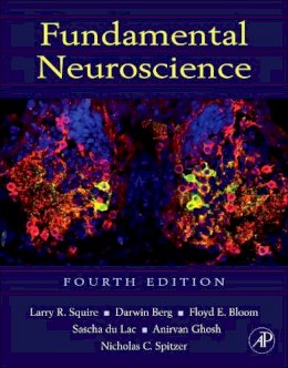 Larry Squire - Fundamental Neuroscience, Fourth Edition (Squire,Fundamental Neuroscience) - 9780123858702 - V9780123858702