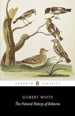 Gilbert White - The Natural History of Selborne (Penguin English Library) - 9780140431124 - 9780140431124