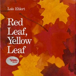 Lois Ehlert - Red Leaf, Yellow Leaf - 9780152661977 - V9780152661977