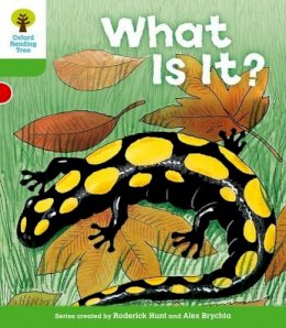 Roderick Hunt - Oxford Reading Tree: Level 2: More Patterned Stories A: What Is It? - 9780198481621 - V9780198481621