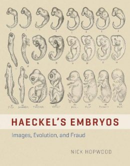 Nick Hopwood - Haeckel's Embryos: Images, Evolution, and Fraud - 9780226046945 - V9780226046945