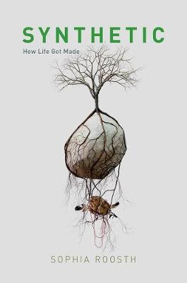 Sophia Roosth - Synthetic: How Life Got Made - 9780226440460 - V9780226440460