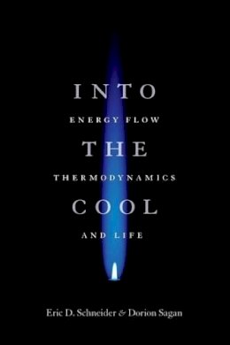 Eric D. Schneider - Into the Cool - 9780226739373 - V9780226739373