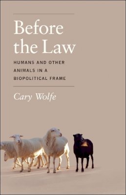 Cary Wolfe - Before the Law - 9780226922416 - V9780226922416