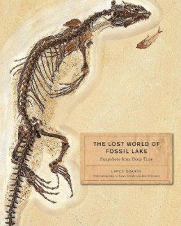 Lance Grande - The Lost World of Fossil Lake - 9780226922966 - V9780226922966