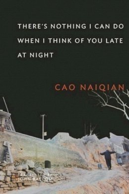 Naiqian Cao - There’s Nothing I Can Do When I Think of You Late at Night - 9780231148108 - V9780231148108