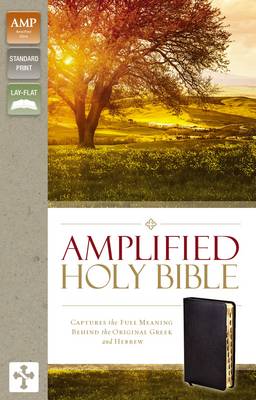 Zondervan - Amplified Holy Bible, Indexed: Captures the Full Meaning Behind the Original Greek and Hebrew - 9780310443933 - V9780310443933