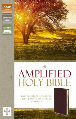 Zondervan Zondervan - Amplified Holy Bible: Captures the Full Meaning Behind the Original Greek and Hebrew - 9780310443940 - V9780310443940