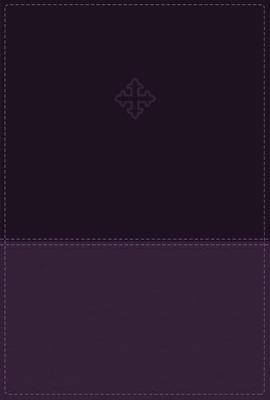 Thomas Nelson - Amplified Study Bible, Imitation Leather, Purple, Indexed - 9780310446538 - V9780310446538