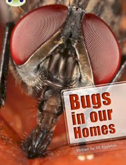 Jill Eggleton - Bug Club Independent Non Fiction Year Two Lime A Bugs in our Homes - 9780435076023 - V9780435076023