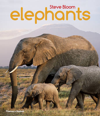 Steve Bloom - Elephants: A Book for Children - 9780500650554 - V9780500650554