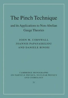 John M. Cornwall - The Pinch Technique and Its Applications to Non-abelian Gauge Theories - 9780521437523 - V9780521437523