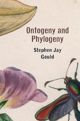 Stephen Jay Gould - Ontogeny and Phylogeny - 9780674639416 - V9780674639416