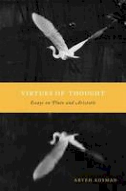 Aryeh Kosman - Virtues of Thought: Essays on Plato and Aristotle - 9780674730809 - V9780674730809