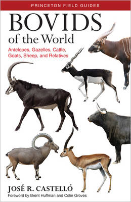 Jose R. Castello - Bovids of the World: Antelopes, Gazelles, Cattle, Goats, Sheep, and Relatives - 9780691167176 - V9780691167176