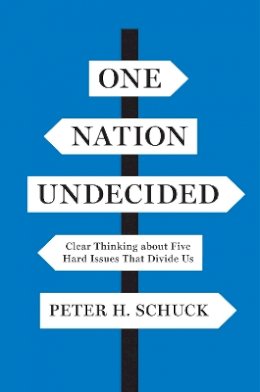 Peter H. Schuck - One Nation Undecided: Clear Thinking about Five Hard Issues That Divide Us - 9780691167435 - V9780691167435