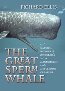 Richard Ellis - The Great Sperm Whale: A Natural History of the Ocean's Most Magnificent and Mysterious Creature - 9780700617722 - V9780700617722