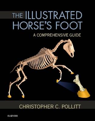 Christopher C. Pollitt - The Illustrated Horse's Foot - 9780702046551 - V9780702046551