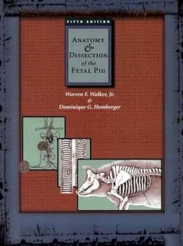 Walker - Anatomy and Dissection of the Fetal Pig (Freeman Laboratory Separates in Biology) - 9780716726371 - V9780716726371