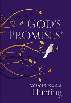 Jack Countryman - God's Promises for When You are Hurting - 9780718034177 - V9780718034177