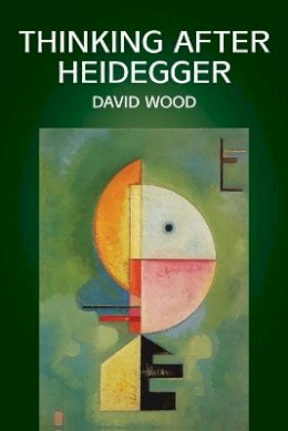 David Wood - Thinking After Heidegger - 9780745616230 - V9780745616230