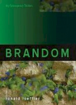 Ronald Loeffler - Brandom (Key Contemporary Thinkers) - 9780745664194 - V9780745664194