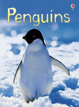 Emily Bone - Penguins - 9780746099667 - V9780746099667