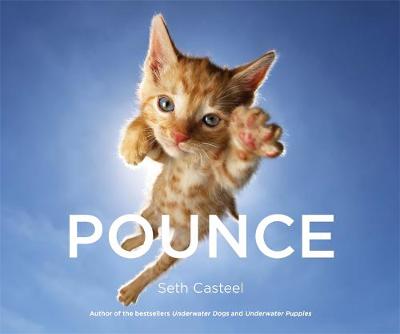 Seth Casteel - Pounce - 9780751566291 - V9780751566291