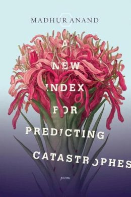 Madhur Anand - A New Index for Predicting Catastrophes - 9780771006982 - V9780771006982