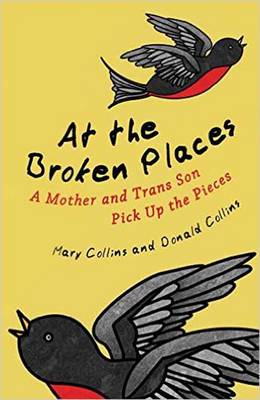 Donald Collins - At the Broken Places: A Mother and Trans Son Pick Up the Pieces (Queer Action/Queer Ideas, a Unique Series Addressing Pivotal Issues Within the Lgbtq Movement) - 9780807088357 - V9780807088357