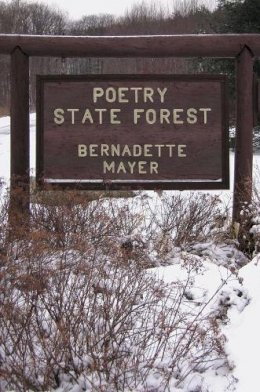 Bernadette Mayer - Poetry State Forest (New Directions Paperbook) - 9780811217231 - V9780811217231