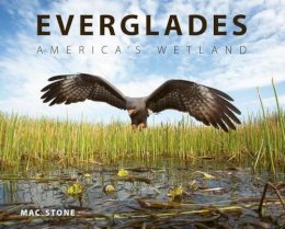 Mac Stone - Everglades: America´s Wetland - 9780813049854 - V9780813049854