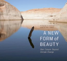 Peter Friederici - New Form of Beauty - 9780816531929 - V9780816531929