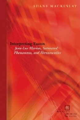 Shane Mackinlay - Interpreting Excess: Jean-Luc Marion, Saturated Phenomena, and Hermeneutics - 9780823231089 - V9780823231089