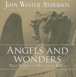 Joan Wester Anderson - Angels and Wonders: True Stories of Heaven on Earth - 9780829427332 - V9780829427332