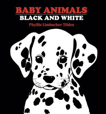Phyllis Limbacher Tildes - Baby Animals Black and White - 9780881063134 - V9780881063134