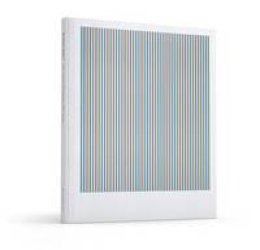 R Et Al Kudielka - Bridget Riley: The Stripe Paintings 1961-2014 - 9780989980975 - V9780989980975