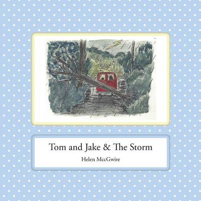 Helen McCgwire - Tom and Jake & The Storm (The Adentures of Tom and Jake) - 9780992646486 - V9780992646486