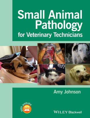 Amy Johnson - Small Animal Pathology for Veterinary Technicians - 9781118434215 - V9781118434215