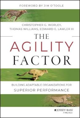 Christopher G. Worley - The Agility Factor: Building Adaptable Organizations for Superior Performance - 9781118821374 - V9781118821374