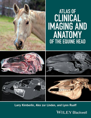 Larry Kimberlin - Atlas of Clinical Imaging and Anatomy of the Equine Head - 9781118988978 - V9781118988978