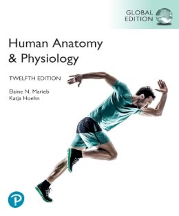 Elaine Marieb - Human Anatomy & Physiology, Global Edition - 9781292421803 - V9781292421803 Elaine Marieb - Human Anatomy & Physiology, Global Edition - 9781292421803 - V9781292421803