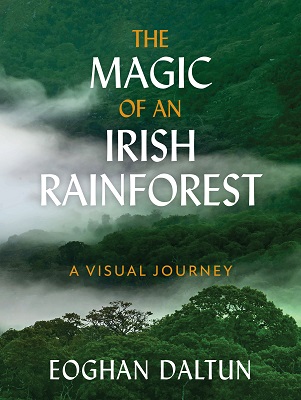 Eoghan Daltun - The Magic of an Irish Rainforest: A Visual Journey - 9781399725606 - 9781399725606