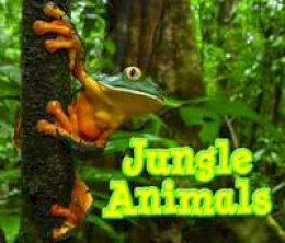 Sian Smith - Jungle Animals - 9781406280722 - V9781406280722