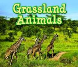 Sian Smith - Grassland Animals - 9781406280739 - V9781406280739