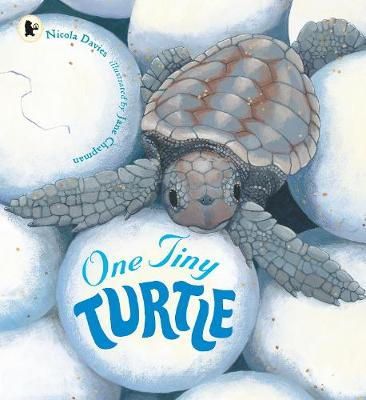 Nicola Davies - One Tiny Turtle - 9781406364637 - V9781406364637